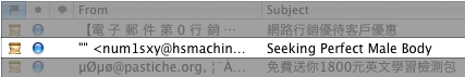 The subject line of this spam reads: ‘Seeking Perfect Male Body’