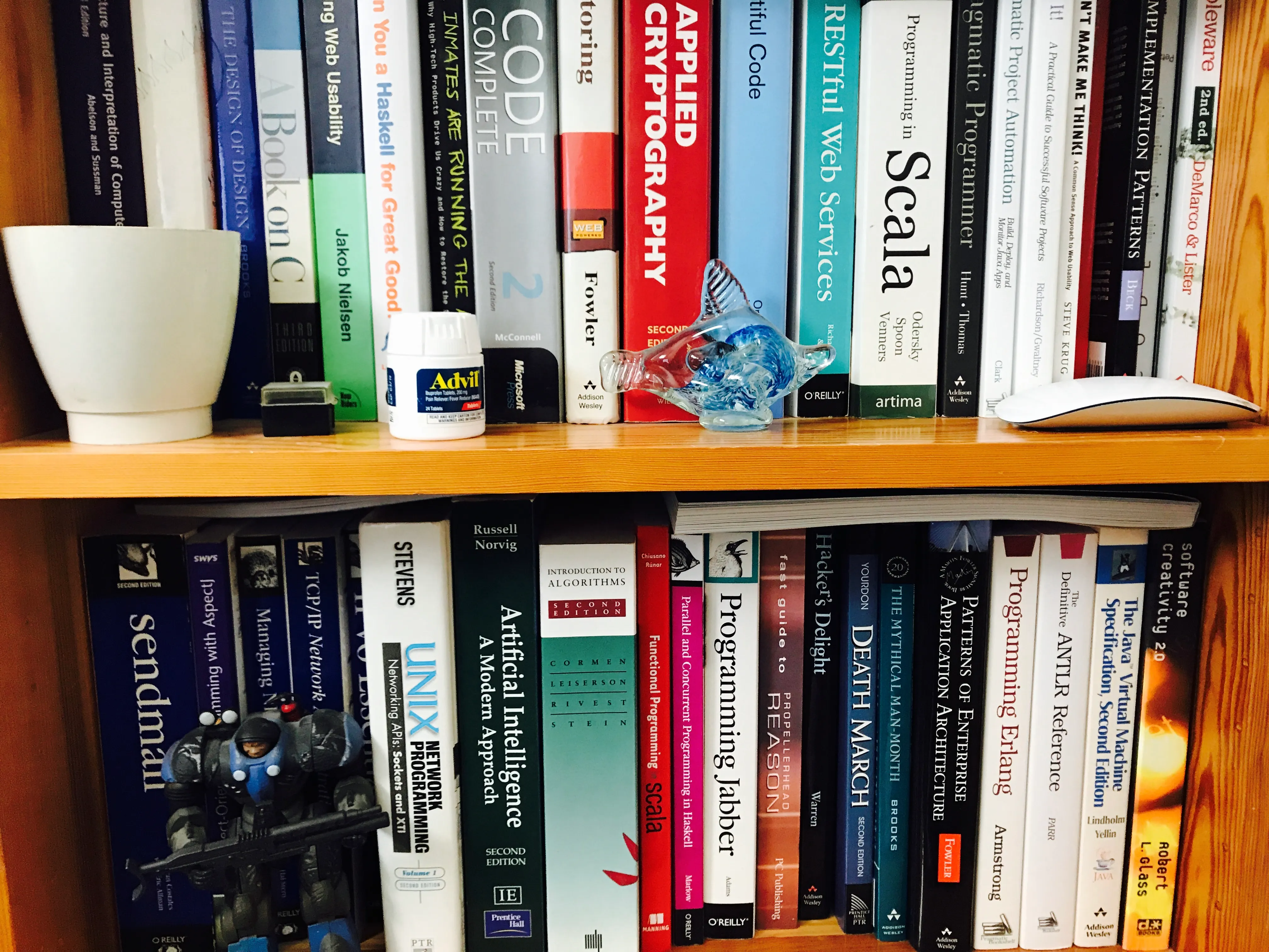 A decorative image of my shelf of text books, meant to break up the article and make it look like I'm done with it.