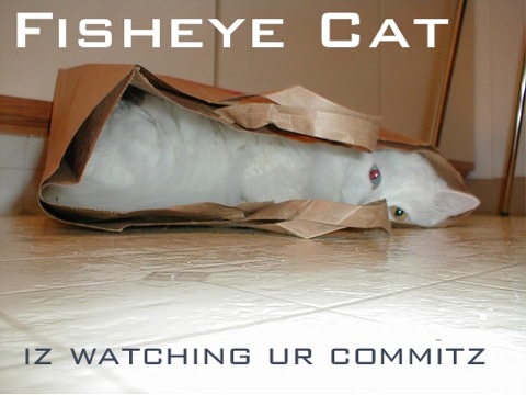 Fisheye cat... iz watching ur commitz!