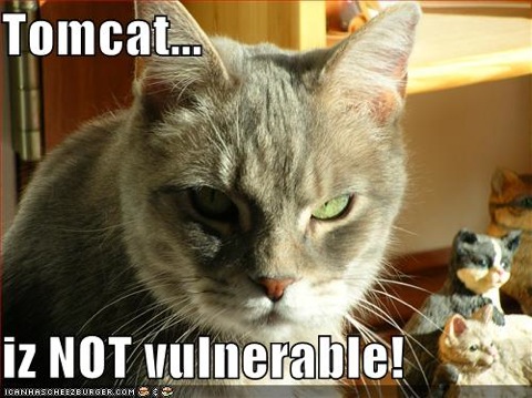 Tomcat... iz NOT vulnerable!
